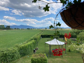 Agriturismo Il Casale Grande, Beroide